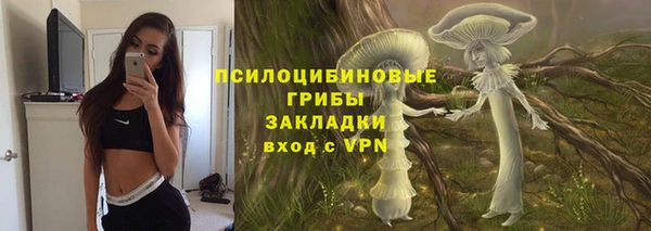 Альфа ПВП Кукмор