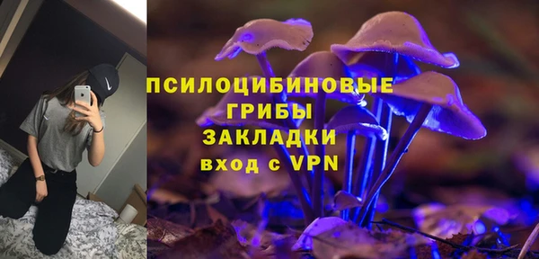 Альфа ПВП Кукмор